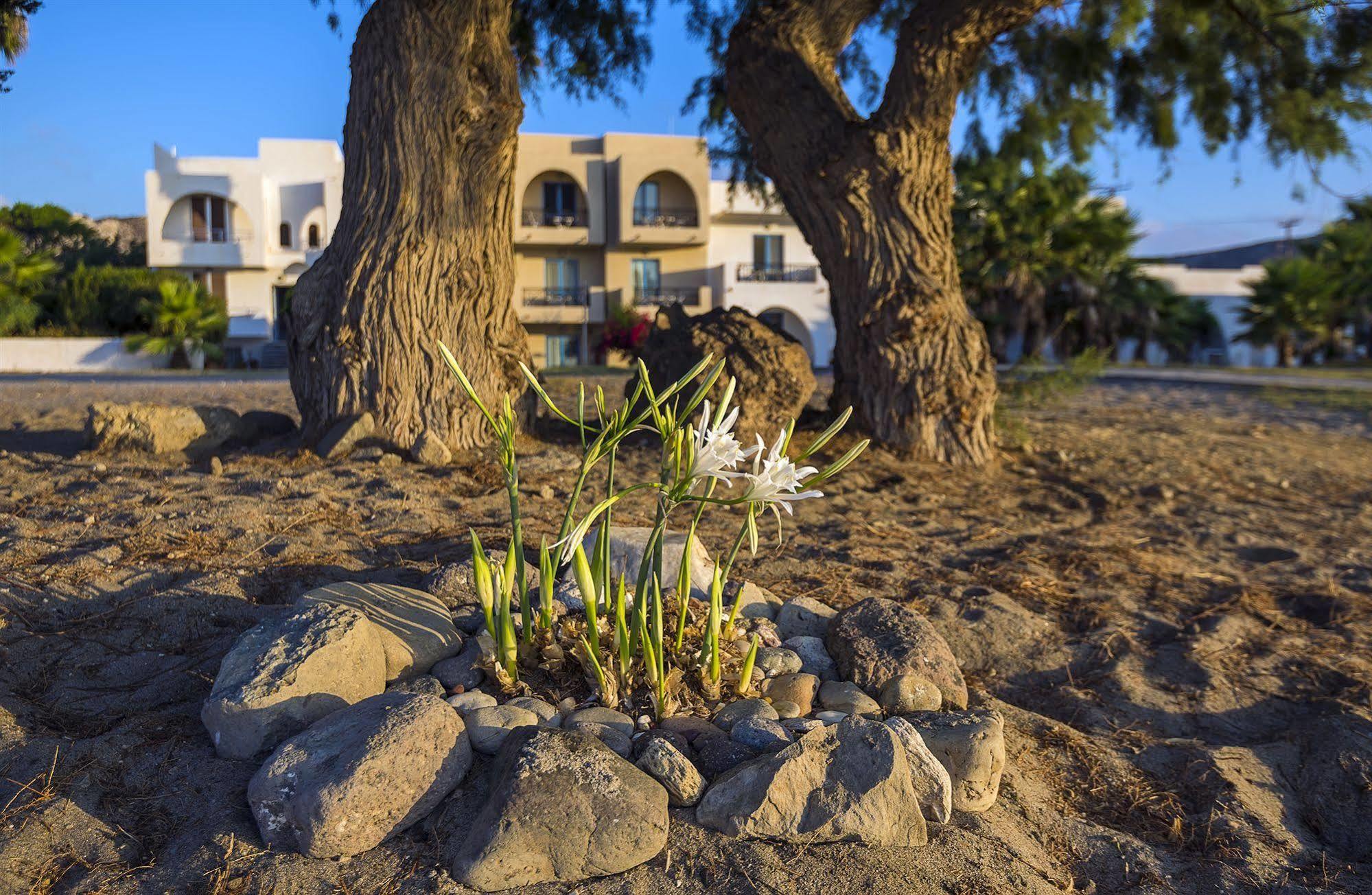 Olympia Mare Apart otel Kardamena  Dış mekan fotoğraf